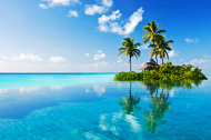 summer vacation plans