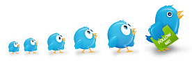 twitter-followers Twitter lists feature