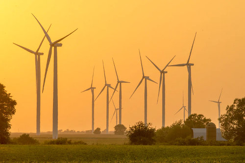Wind turbines provide clean energy