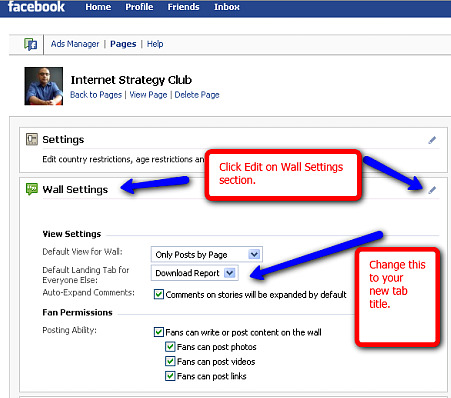 customizing your Facebook business fan pages