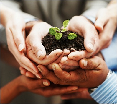 tips for managing business growth