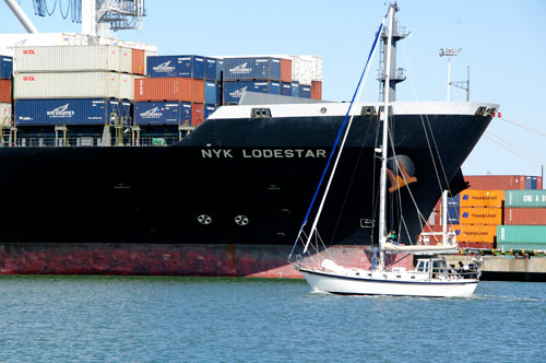 freight forwarder