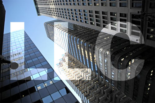 business structure