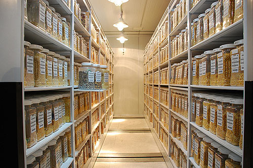 Warehouse solution