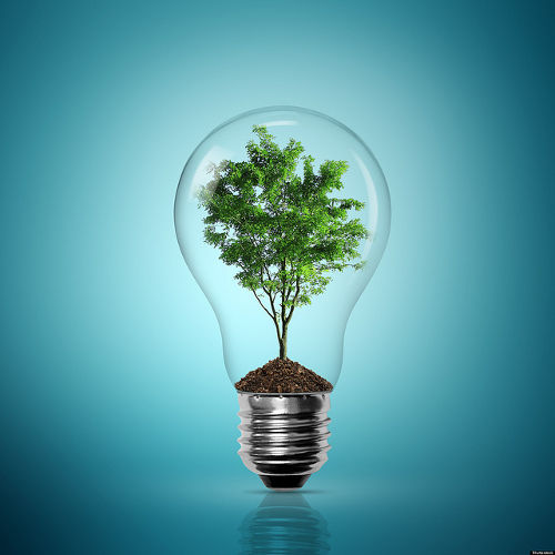 Eco friendly light bulb