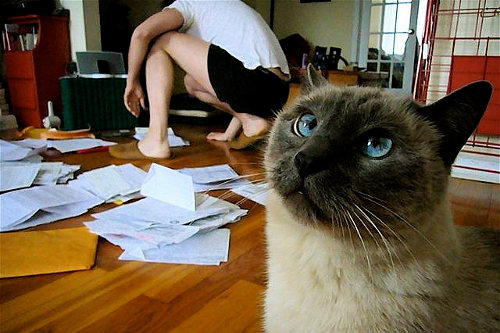 Sloppy tax preparation