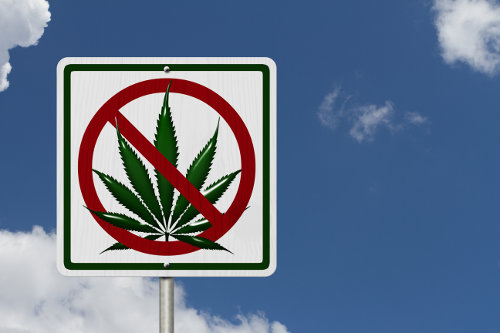 Marijuana legalization issue in the workplace