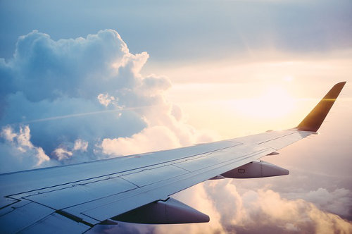Fly for a business trip