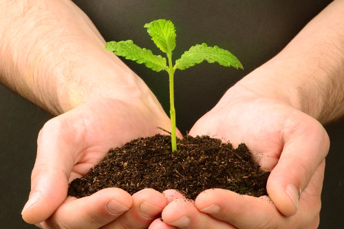 Business growth