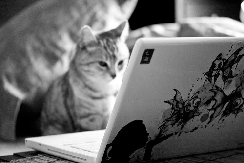 Meet Abel, the content marketer