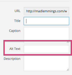 Image alt text editor in WordPress