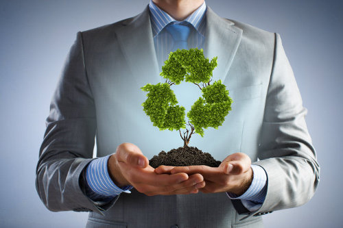 Eco-friendly business practices