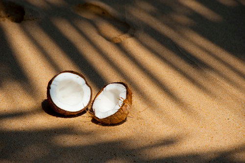 Coconunt