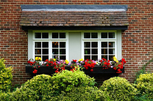 Flower garden by the window