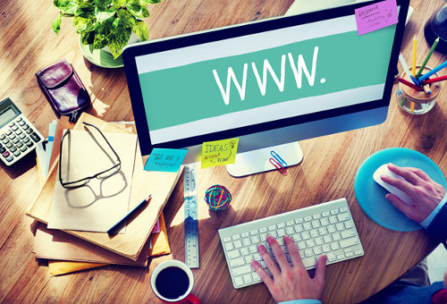 Business website hosting