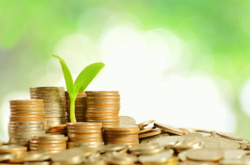 Go green, save money