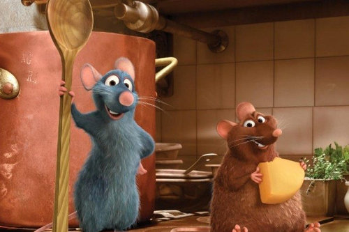 Rodents in the kitchen