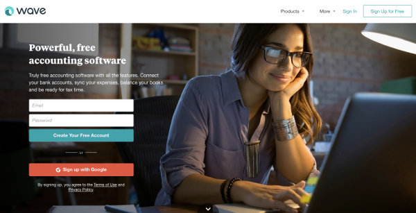 Wave website screenshot