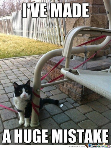 Huge mistake cat meme