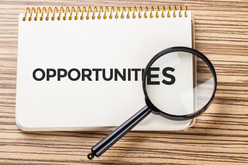Opportunity evaluation