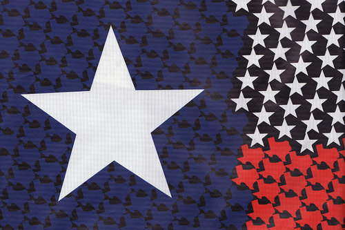 Texas lone star print