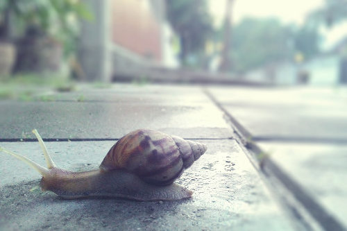 Slow website