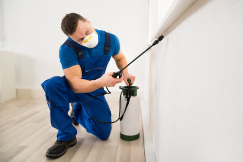 Pest control benefits for business
