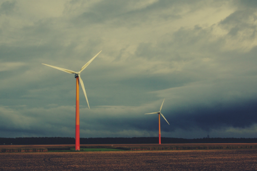 Eco friendly business ideas generate millions in profit