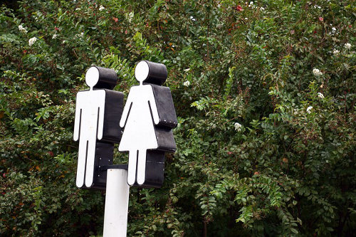 Portable restrooms at an outdoorl event