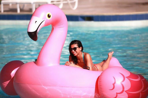 Inflatable flamingo