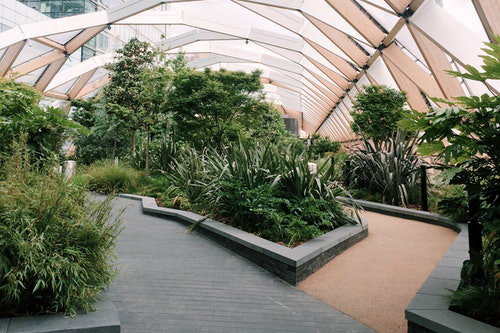 Office plantation