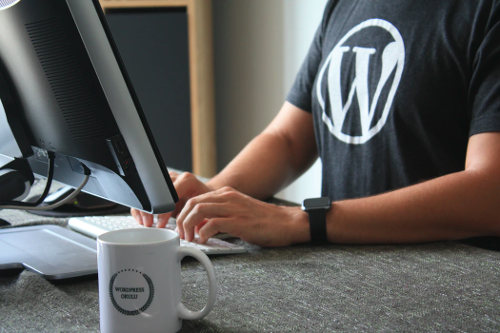 WordPress plugin developer