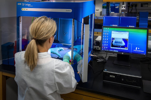 CDC scientist working with samples using PCR machine