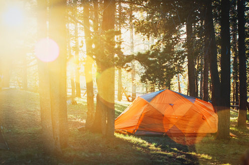 Camping at a forest