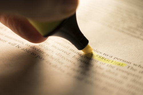 Criminal legal issues