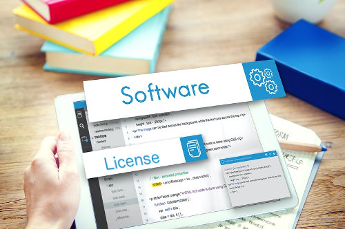 Software license management