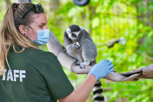 Zookeeper