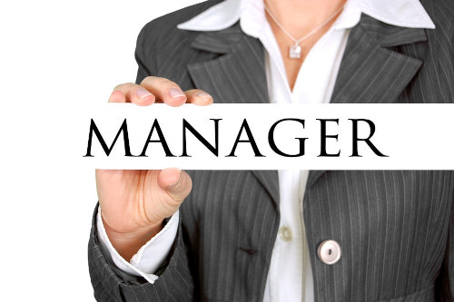 Team manager