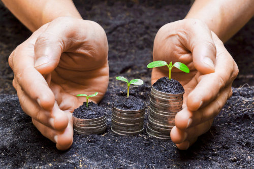 Growing a business with patience