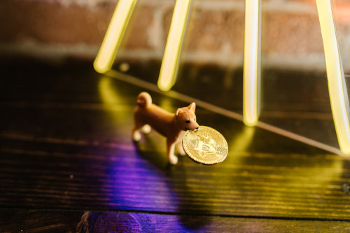 Bitcoin vs. Dogecoin