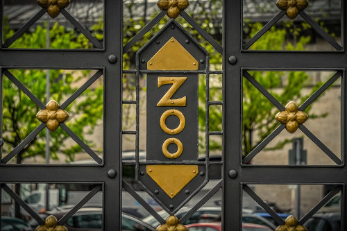 Zoo sliding gate