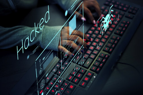 Software vulnerability