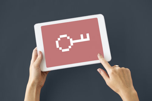 Web unblocker