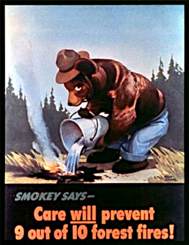 Smokey Bear campaign