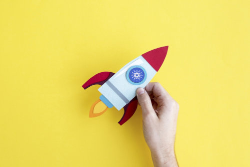 Cardano crypto projects
