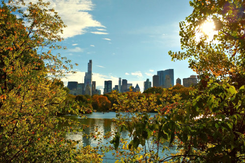 Central Park in NYC