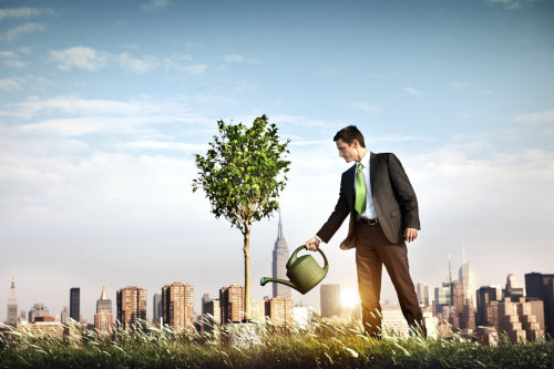 Entrepreneur-investor