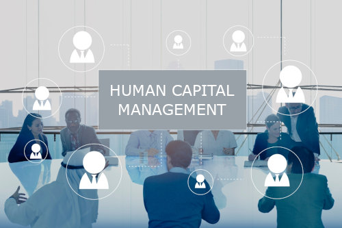Human Capital Management: A Strategic Approach to Workforce Success ...