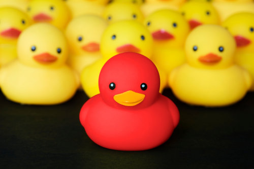 Leadership potential