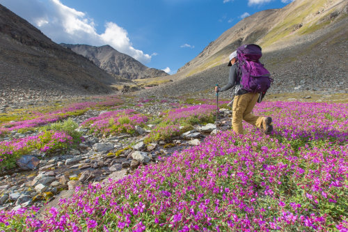 Hiking in the alps